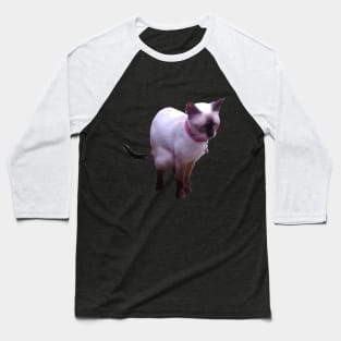 Pooping Siamese Cat Baseball T-Shirt